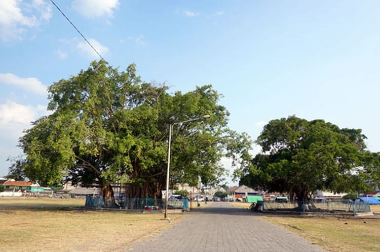 Alun-Alun Kidul Solo