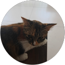 Mutiararevlynatasya Siregar profile picture