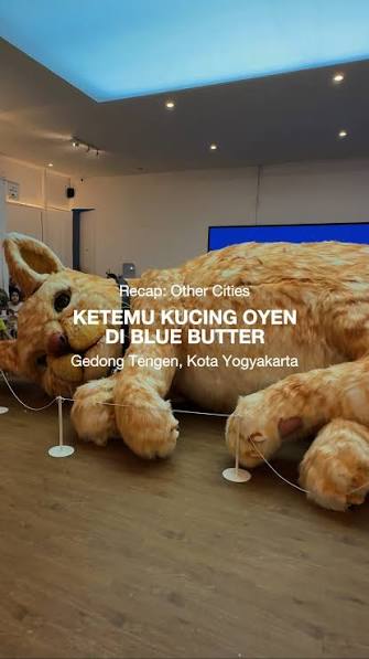 Kucing Oyen Raksasa Jogja