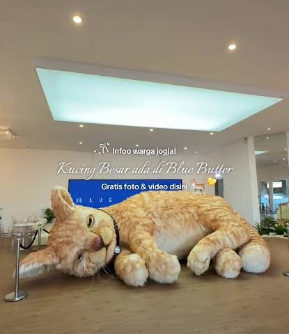 Kucing Oyen Raksasa Jogja