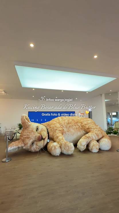 Kucing Oyen Raksasa Jogja